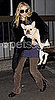 How Big Is Ashley Olsen's French Bulldog and Is This Dog Too Big to Fly on a Plane?
