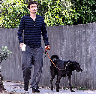Pictures of Dad-to-Be Orlando Bloom Getting Coffee in LA With Dog Sidi