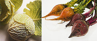 Detox Foods, David Kirsch on Cardio, and More