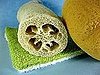When to Replace Household Items