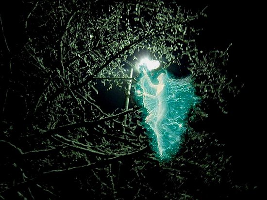 a tree in Dornach with a turquoise fairy