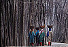 Kashmir Women Walking in Subzero Temperatures