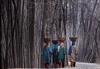Kashmir Women Walking in Subzero Temperatures