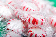How Do You Feel About Peppermint? How Do You Feel About Peppermint?