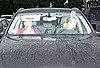 Pictures of Ryan Phillippe and Amanda Seyfried Shopping Together in LA