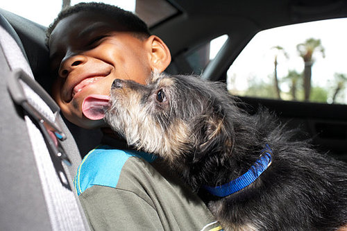 Epileptic Boy Can't Bring Seizure Dog to School