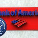 WikiLeaks and Bank of America Drama