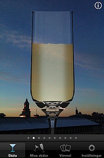 Ikea New Year's Eve Toasting App