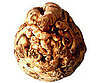 Nutritional Properties of Celery Root