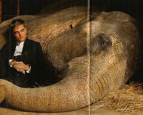 My two favorite animals in one picture!!!