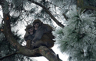 Baby, It's Really Cold Outside!