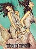 Photos of Chanel, Tom Ford, Gucci, Burberry, Roberto Cavalli, Dolce & Gabbana, Louis Vuitton Spring 2011 Ad Campaigns