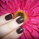 Nail-gloss's picture