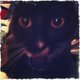 mdwhite3685's picture