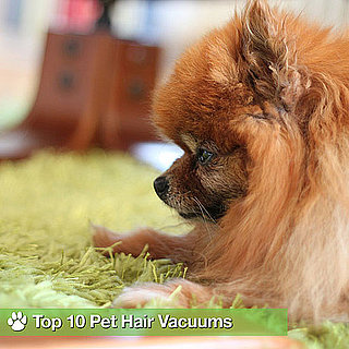 Best Vacuums For Pet Hair on Carpet and Hardwood