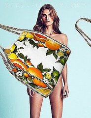 The Latest Spring 2011 Ads — Joan Smalls and Malgosia Bela for Stella McCartney, Erin Wasson for Elie Saab, Plus More
