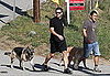 Pictures of Jake Gyllenhaal Walking His Dogs in LA