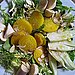 Yellow Beet and Fennel