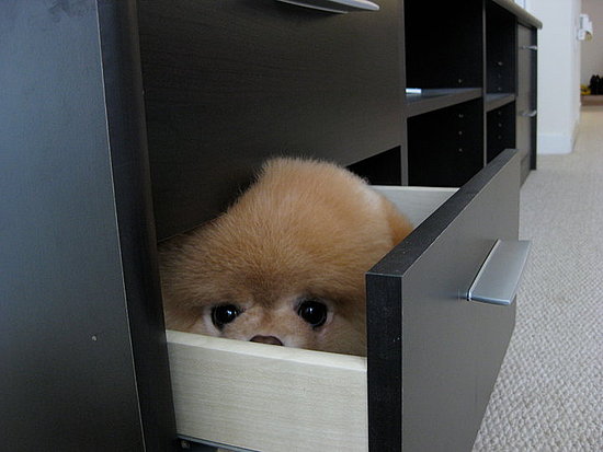 Peek-a-Boo Peek-a-Boo