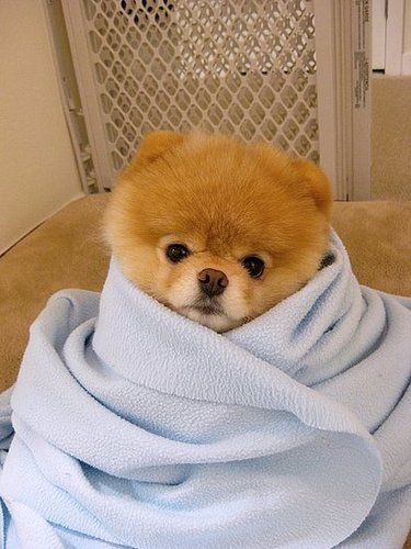 Bundle of Joy Bundle of Joy
