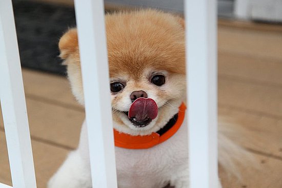 Behind Bars Behind Bars
