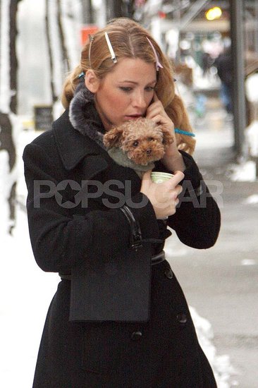 Blake Lively Warms Up to Her Pup on the Gossip Girl Set Blake Lively Warms Up to Her Pup on the Gossip Girl Set