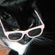 Catsparella's picture