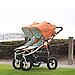 Which Twin Stroller Is Your Favorite?