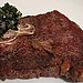 Steak