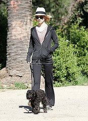 Pictures of January Jones Walking Her Dog