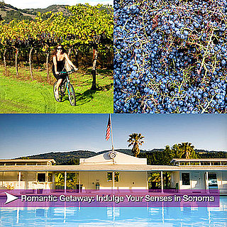 Travel Tips For Sonoma, California