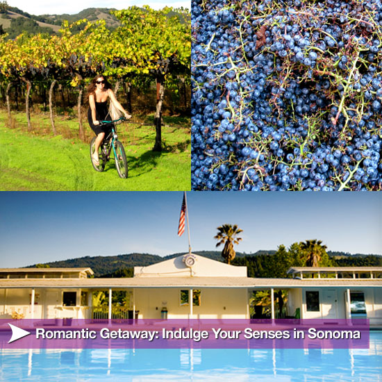 Travel Tips For Sonoma, California
