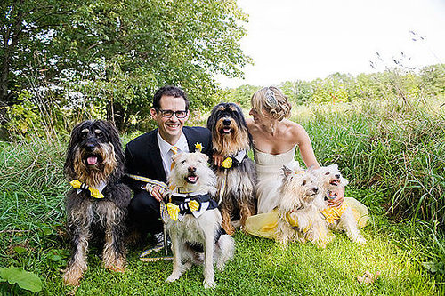 Yep, this wedding party included not one, but five dogs!
Photo by Anna Page Photography
Yep, this wedding party included not one, but five dogs!
Photo by Anna Page Photography