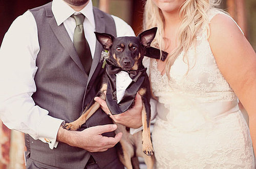 Love this dressed-up four-legged fella!
Photo by SimplyBloom Photography
Love this dressed-up four-legged fella!
Photo by SimplyBloom Photography