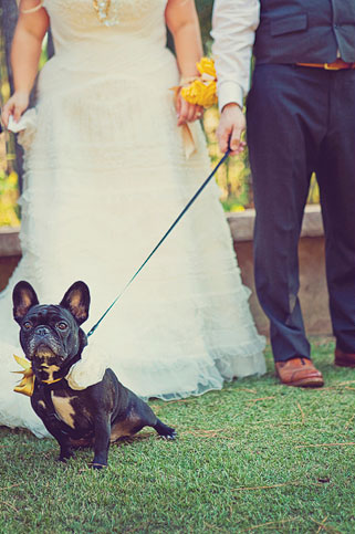 Love the cute yellow bow on this couple's pup!
Photo by Our Labor of Love
Love the cute yellow bow on this couple's pup!
Photo by Our Labor of Love
