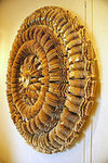 Eco Art