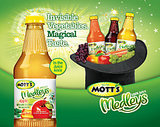 What's Hidden in Your Mott's Medleys? What's Hidden in Your Mott's Medleys?