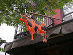 The Sunburnt Cow