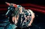 Ride a Mechanical Bull