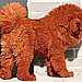 Tibetan Mastiff