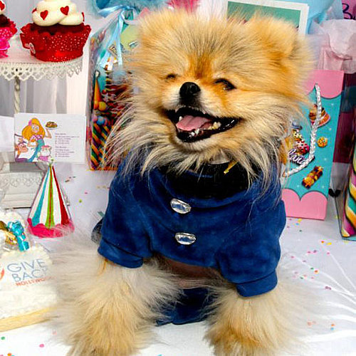 Giggy Giggy