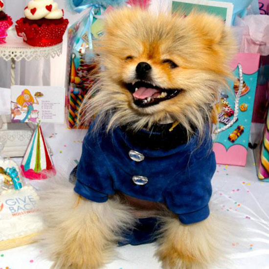 Giggy Giggy