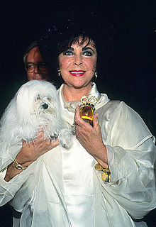 Elizabeth Taylor: Surprising Facts About Her Fragrances 2011-03-23 14:42:16