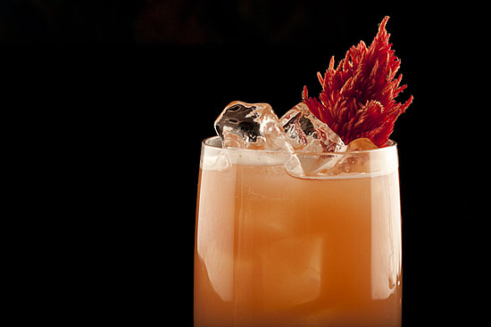 Couture Cocktail Concepts: Mixologist Somer Perez Creates Cocktails to Suit Your Taste Buds