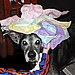 My doggie