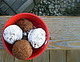 Apple Cider Donuts