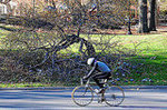 Central Park Loop
