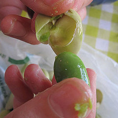How to Shell Fava Beans How to Shell Fava Beans