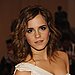 Met Gala, 2010