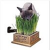 DIYs and Eco-Friendly Products For Cats